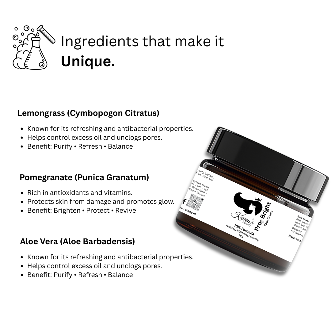 Seize-in Beauty Pro Bright Face Cream (50g)